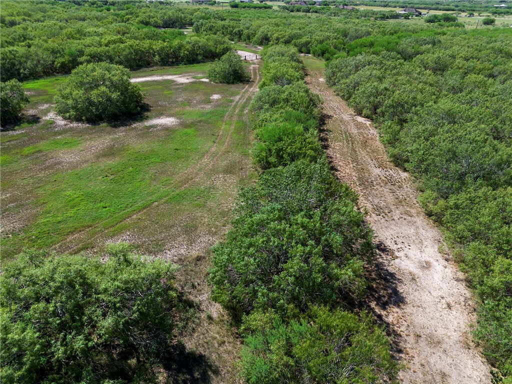 0 Fm 70 Sandia, TX 78383 - Photo 30 of 30