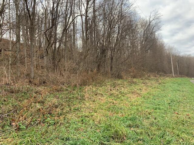 10001 Weaver Road Newark, OH 43055 - Photo 1 of 6 IMG_8115