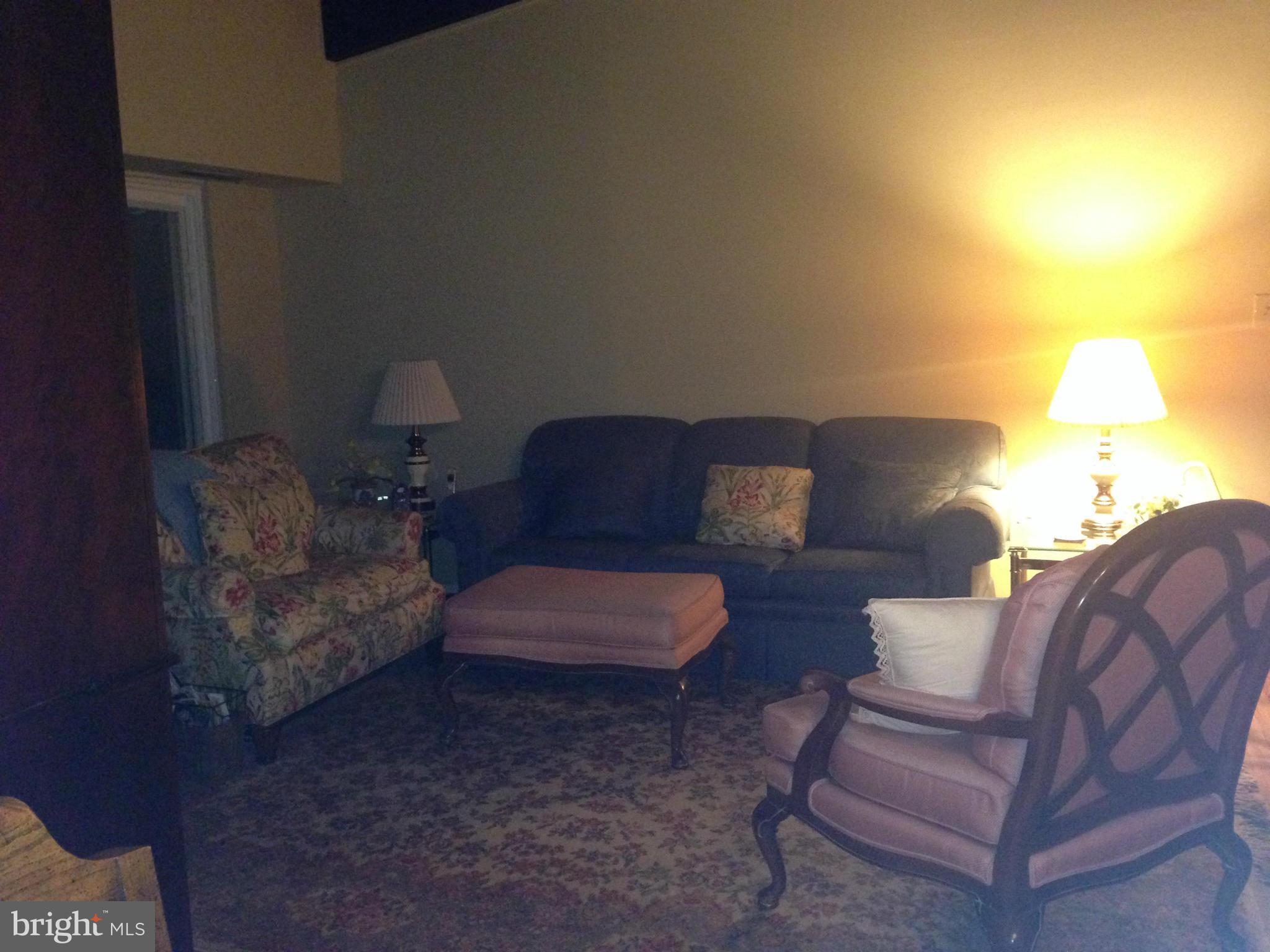 11368 Cherry Hill Road, Unit 304 Beltsville, MD 20705 - Photo 11 of 11 a living room with furniture and a lamp