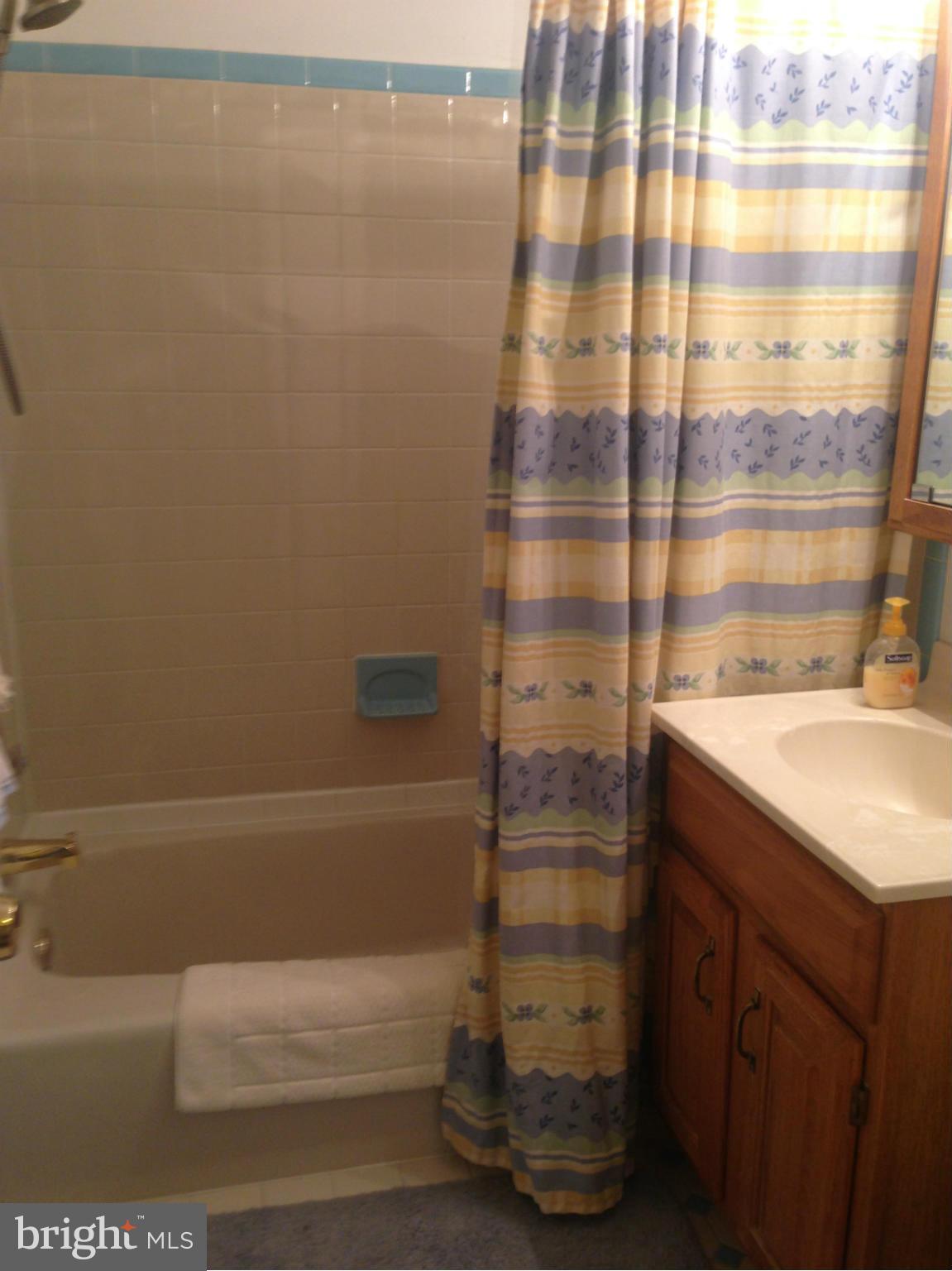 11368 Cherry Hill Road, Unit 304 Beltsville, MD 20705 - Photo 7 of 11 a bathroom with a bathtub and a shower
