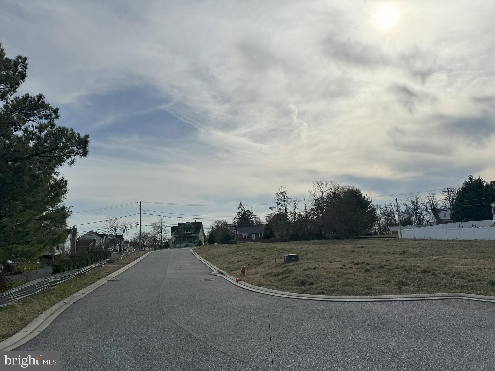 a view of a dry yard with trees