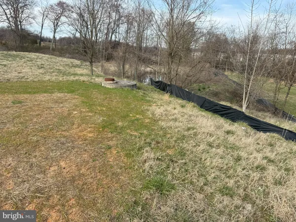 a view of a dry yard with large trees