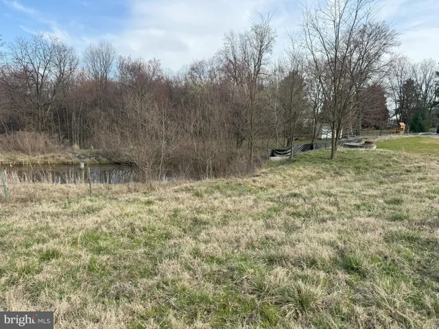 a view of a field of grass and trees
