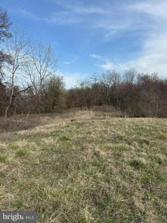 a view of a field with trees in background