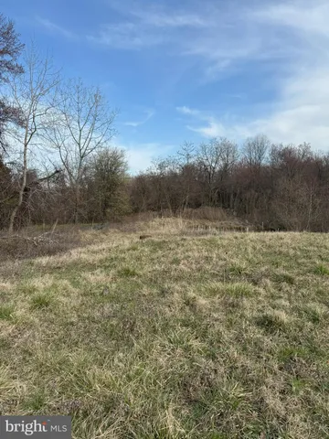 a view of a field with trees in background