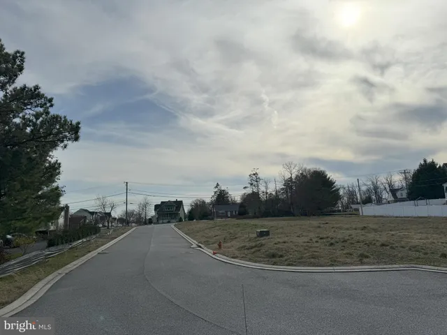 a view of a dry yard with trees