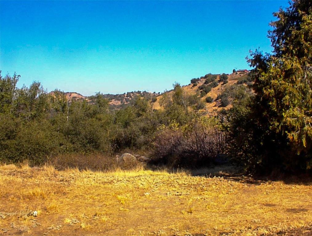 50245 Greenhill Road Squaw Valley, CA 93675 - Photo 12 of 25 a view of a yard