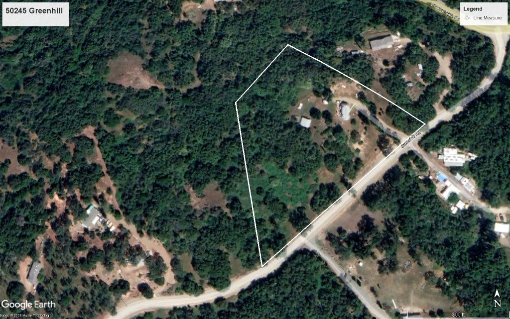 50245 Greenhill Road Squaw Valley, CA 93675 - Photo 2 of 25 a picture of a tree with a plant in front of it