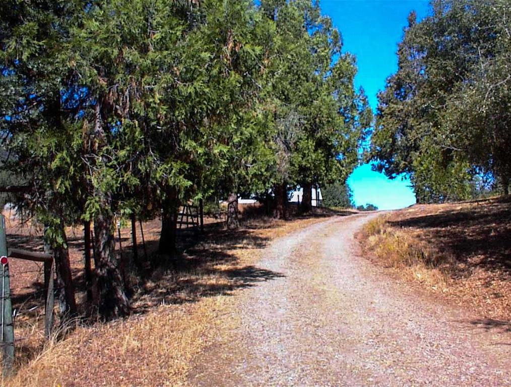 50245 Greenhill Road Squaw Valley, CA 93675 - Photo 3 of 25 a view of street with trees