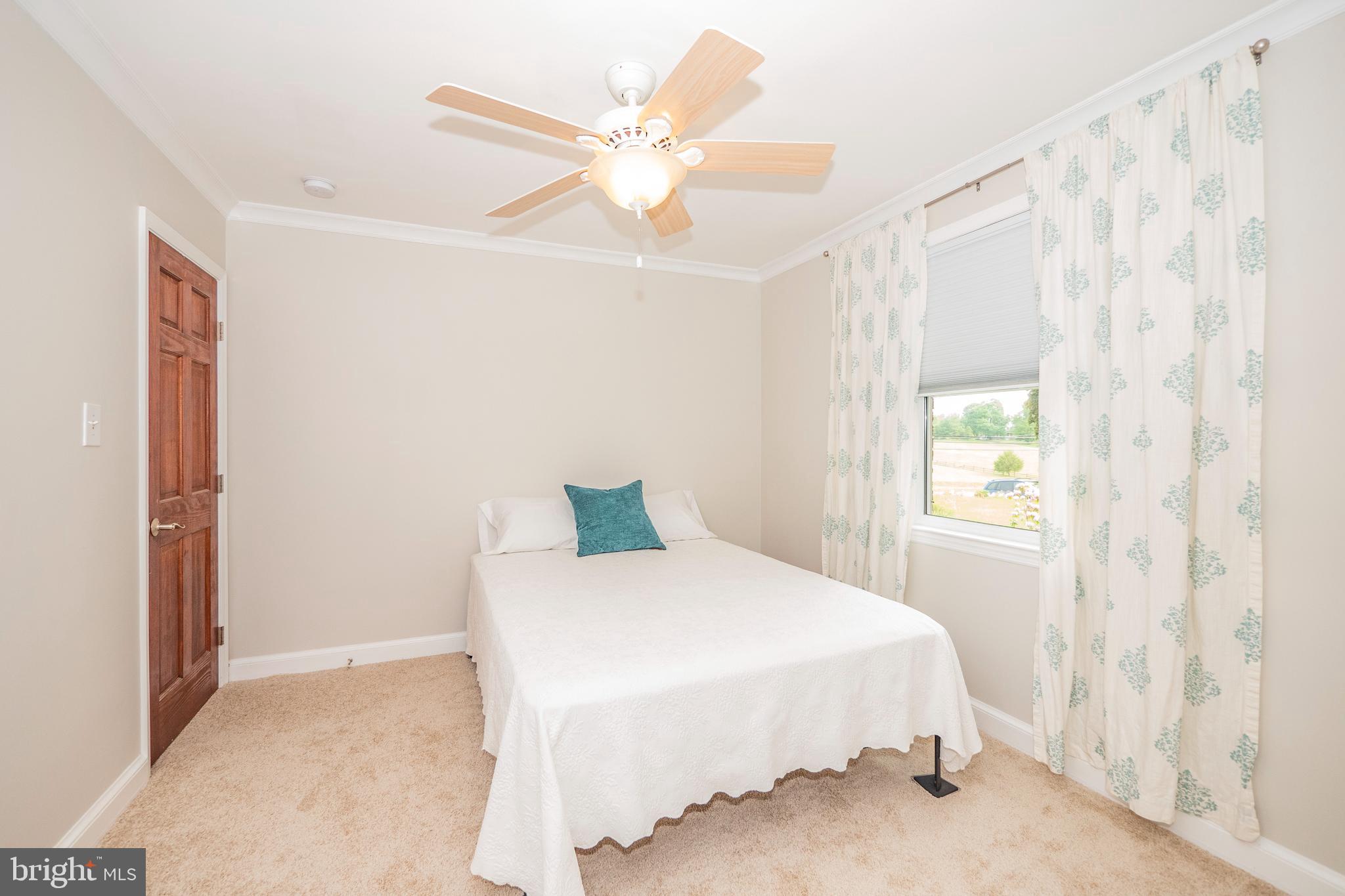 8933 Watkins Road Gaithersburg, MD 20882 - Photo 32 of 65 Main Level - 2nd Bedroom Suite