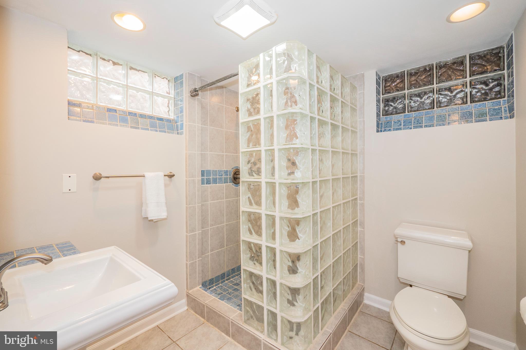 8933 Watkins Road Gaithersburg, MD 20882 - Photo 56 of 65 Lower Level - Full Bathroom #4 w/ Stall Shower
