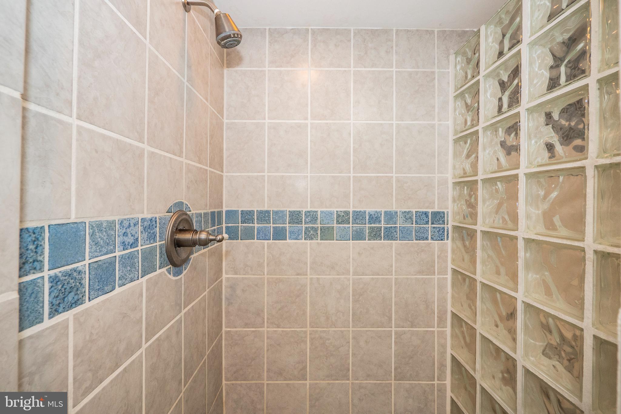 8933 Watkins Road Gaithersburg, MD 20882 - Photo 57 of 65 Lower Level - Full Bathroom #4 w/ Stall Shower