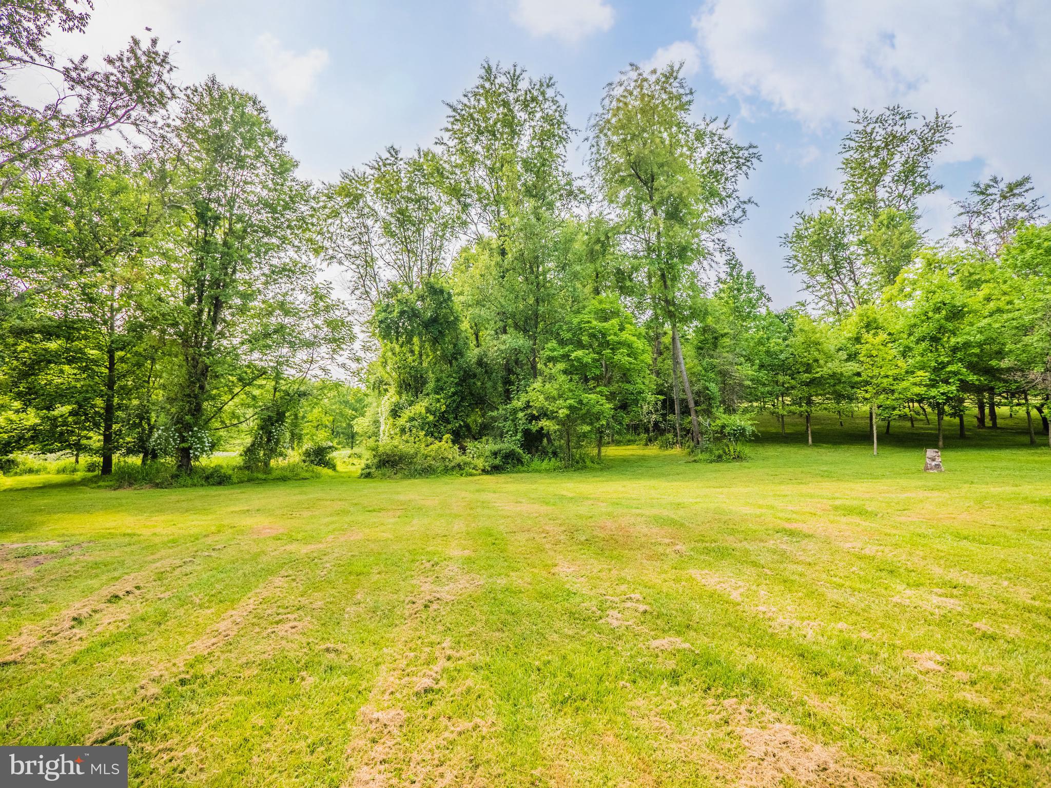 8933 Watkins Road Gaithersburg, MD 20882 - Photo 64 of 65 Exterior - Rear Yard