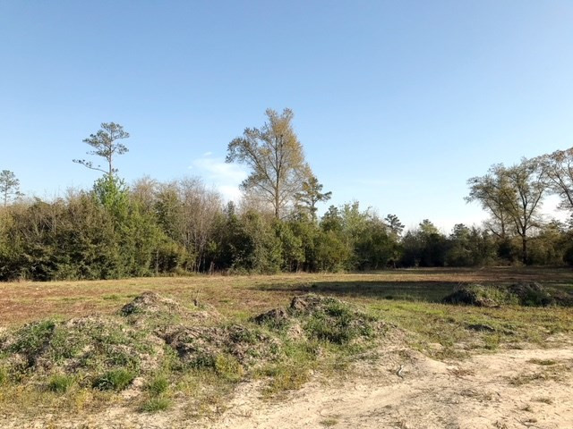 431 Beaver Dam Road Aiken, SC 29805 - Photo 10 of 20