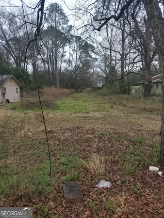 $18,000 | 301 Shipp Lane, Sylvester, GA 31791