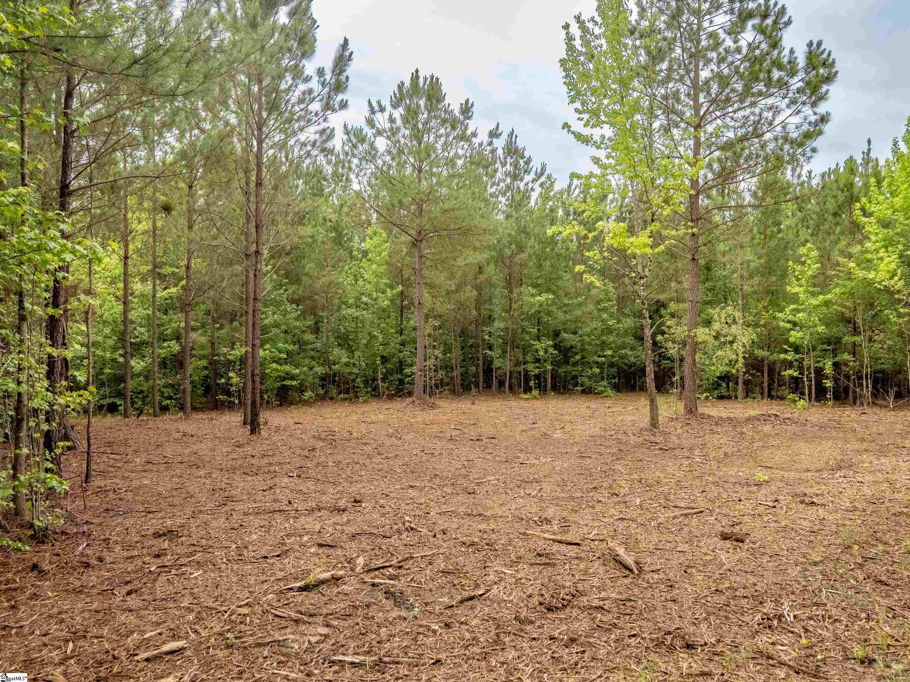 0 Terry Road, Unit LOT 2 Fountain Inn, SC 29644 - Photo 17 of 27 Gallery Image 17