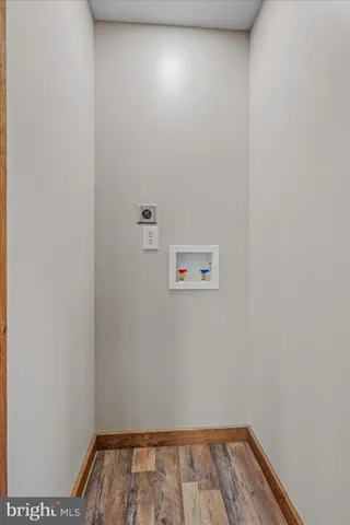 a view of a forest with a mountain in the background