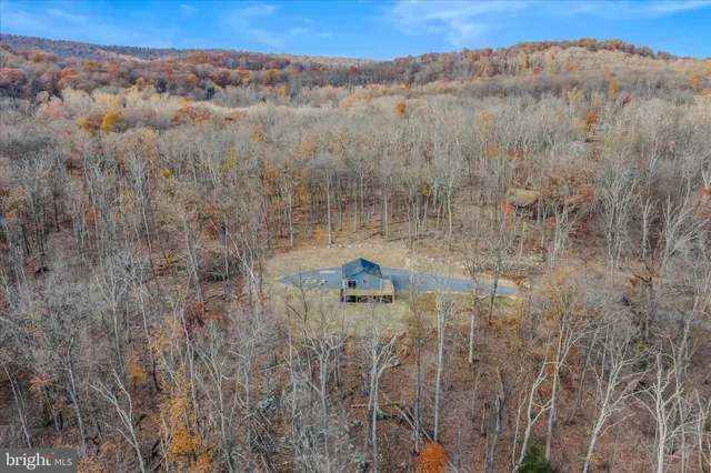 a view of a dry yard