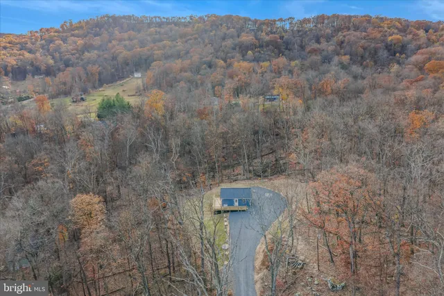 a view of a dry yard