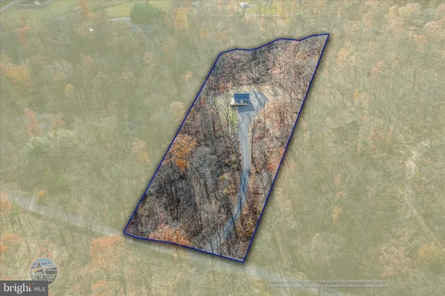 a close up of a plant with a yard