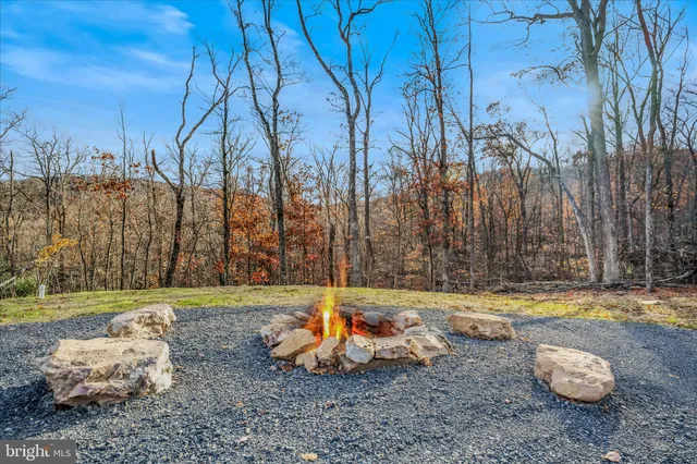 a view of a park with large trees
