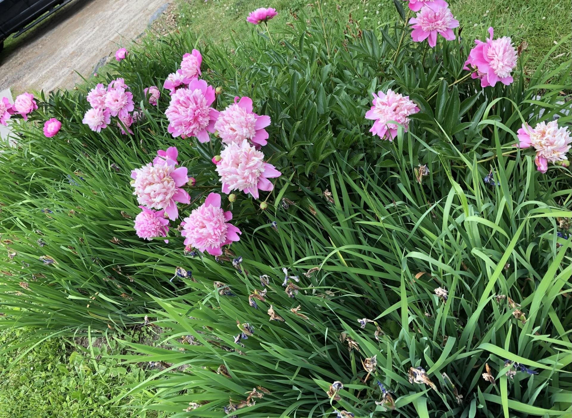 51 Old New Ipswich Road Rindge, NH 03461 - Photo 25 of 32