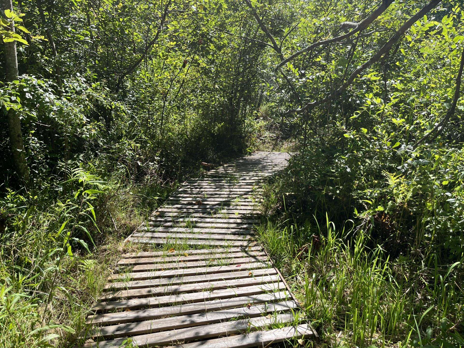 51 Old New Ipswich Road Rindge, NH 03461 - Photo 30 of 32