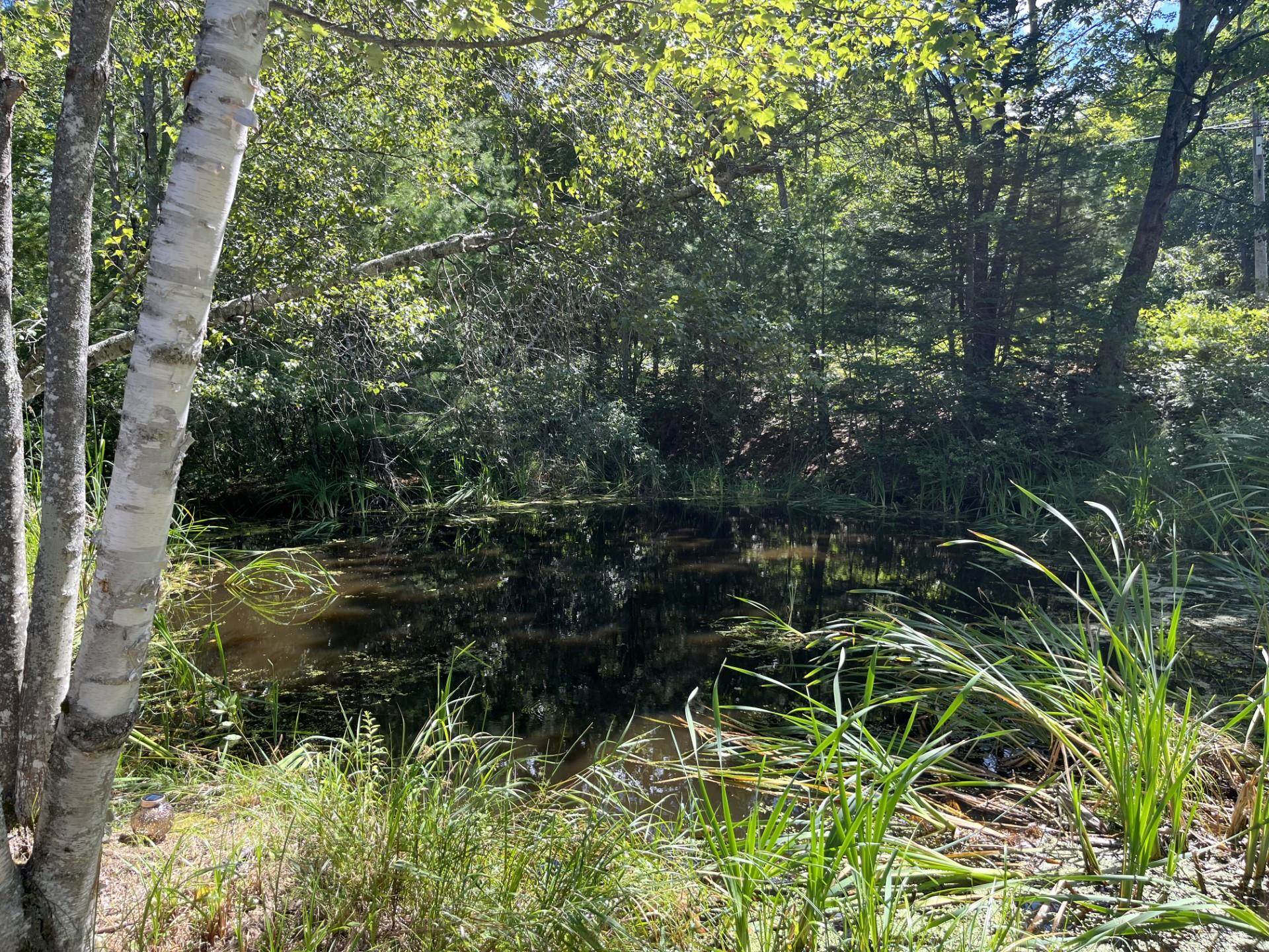 51 Old New Ipswich Road Rindge, NH 03461 - Photo 31 of 32