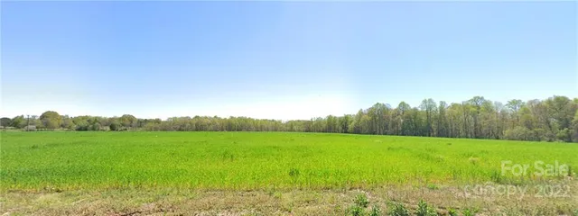 a view of a grassy field with trees in the background