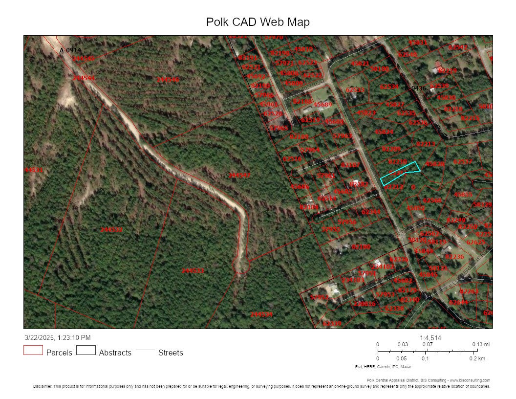 Lot 308-307 Lumbermans Road Onalaska, TX 77360 - Photo 4 of 10 82211