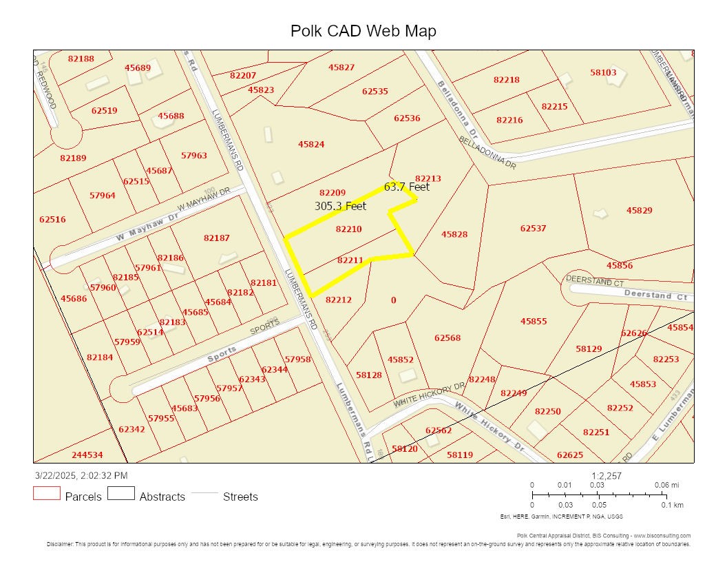 Lot 308-307 Lumbermans Road Onalaska, TX 77360 - Photo 10 of 10