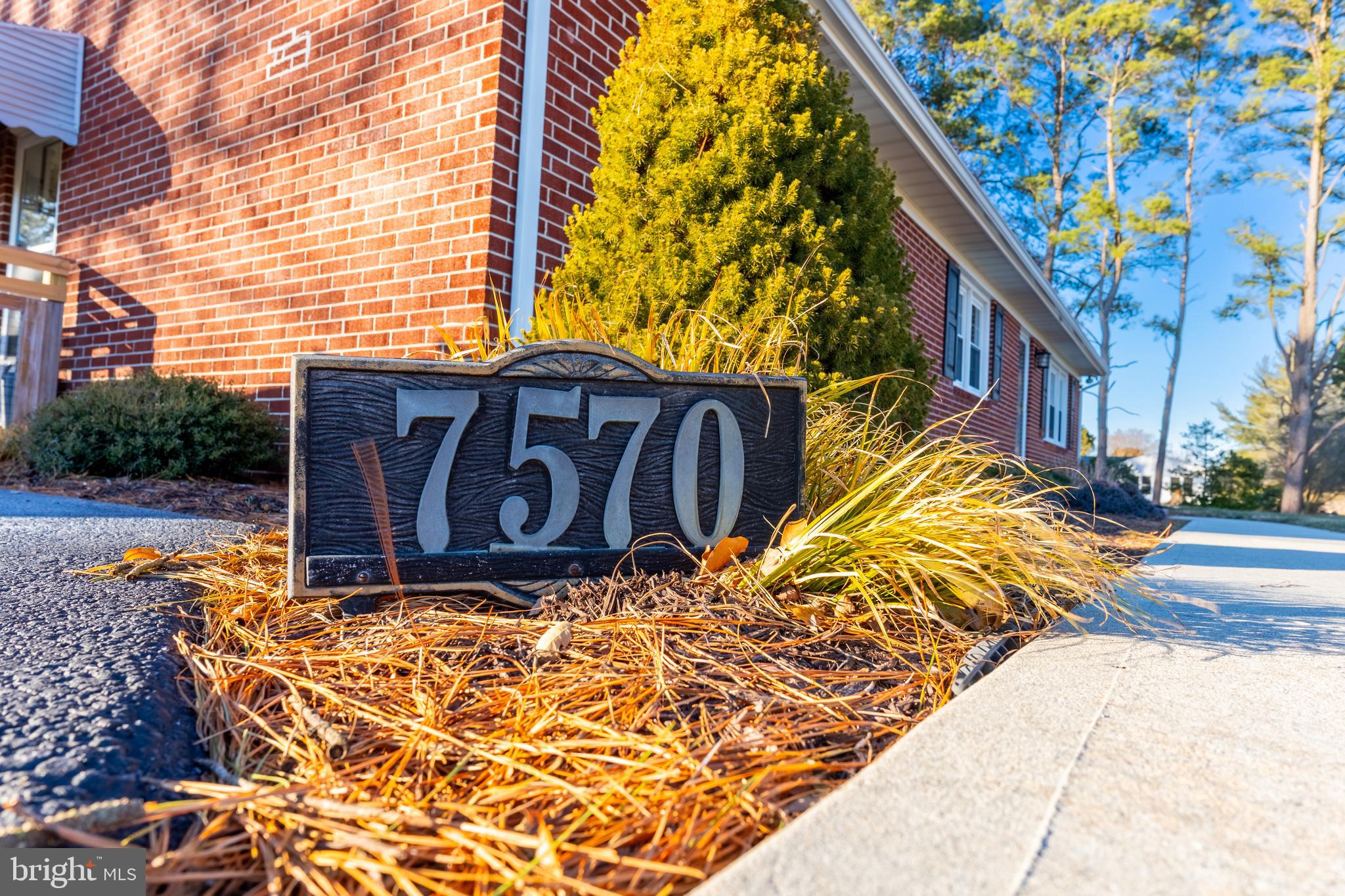 7570 Esham Road Parsonsburg, MD 21849 - Photo 5 of 40