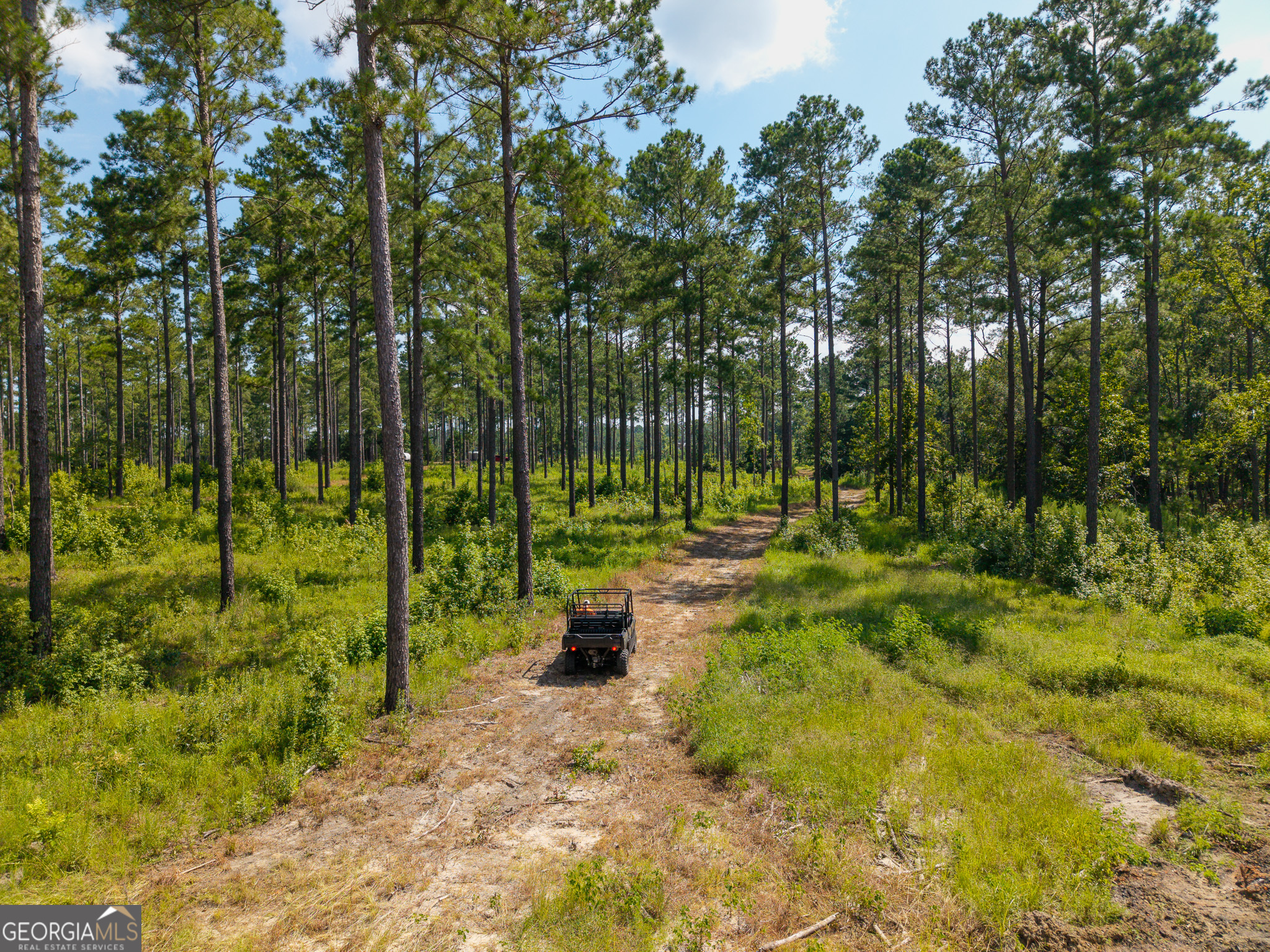 a view of yard with green space