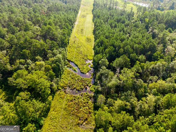 a view of backyard
