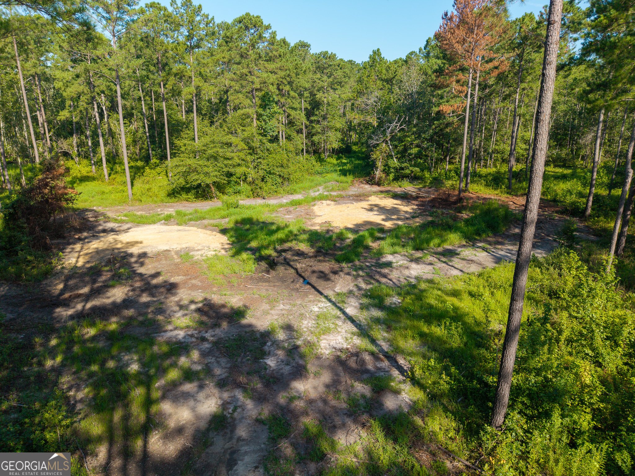 0 Henry Moxley Road Cobbtown, GA 30420 - Photo 16 of 41 a view of backyard