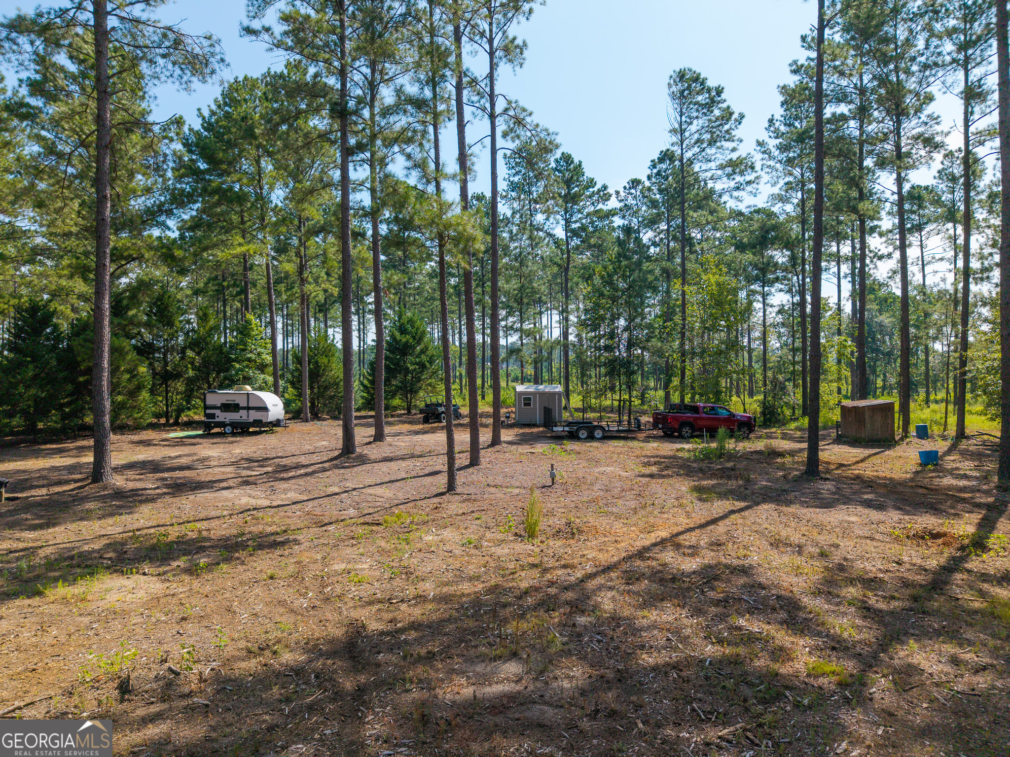 0 Henry Moxley Road Cobbtown, GA 30420 - Photo 21 of 41 a view of a park with tree s