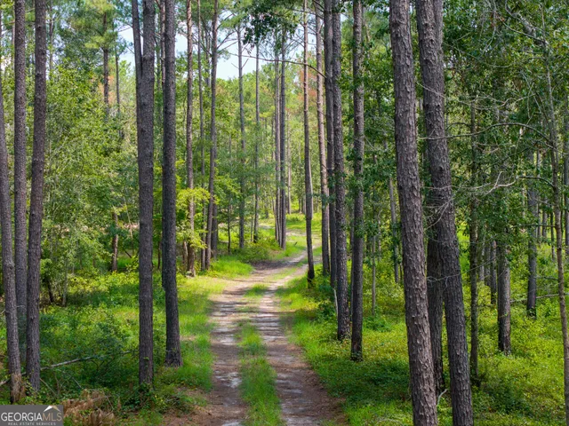 a view of a backyard with a trees and plants