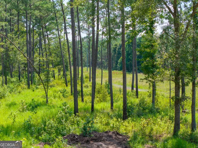 a house with trees in front of it