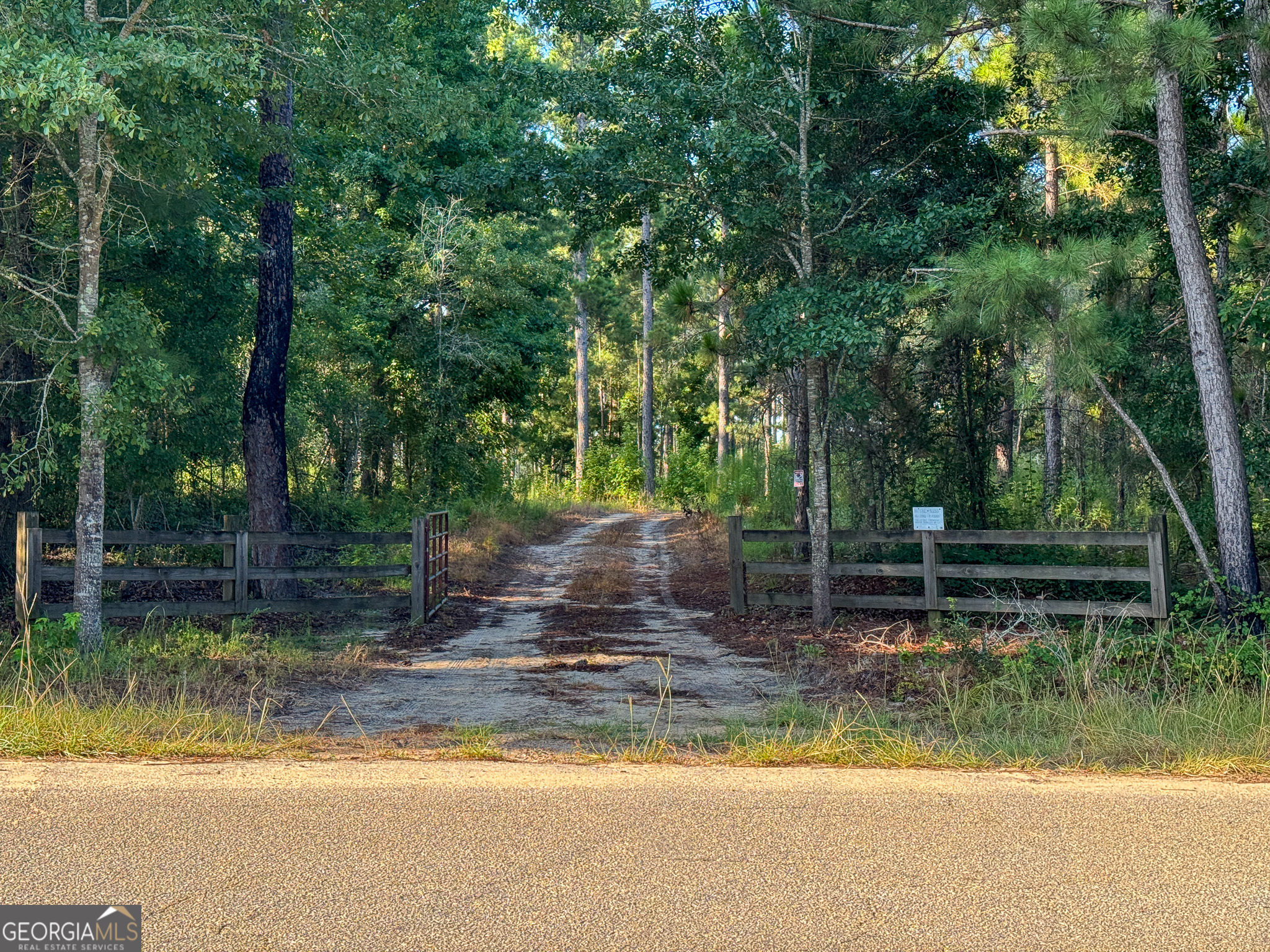 0 Henry Moxley Road Cobbtown, GA 30420 - Photo 31 of 41 a view of a park