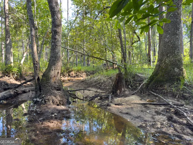 a view of a yard with a tree