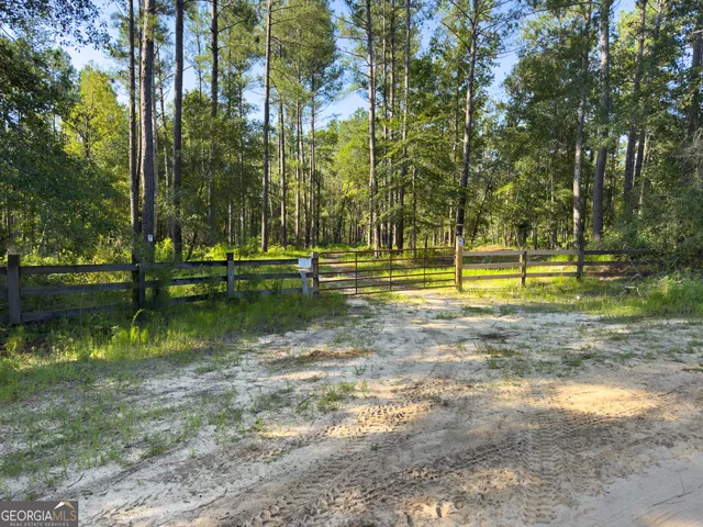 a view of tall trees in a forest