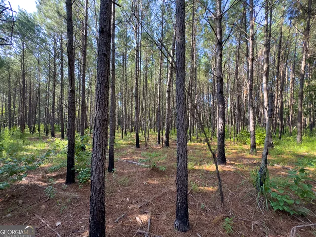 $1,140,338 | 0 Henry Moxley Road, Cobbtown, GA 30420