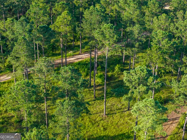 a view of yard from a backyard