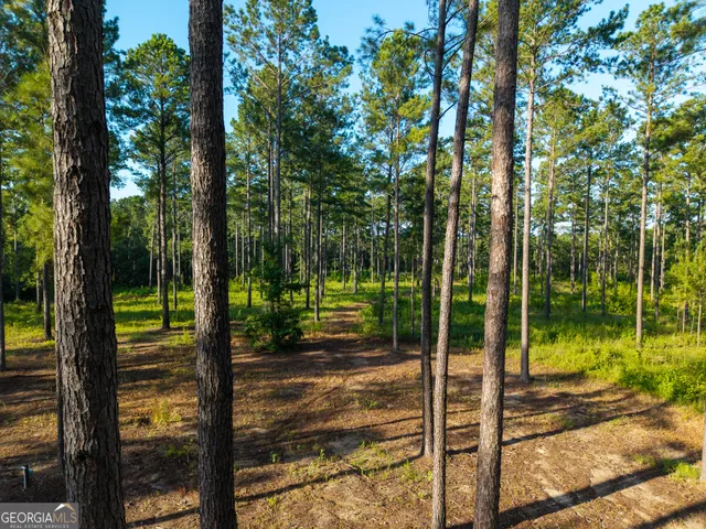a view of yard with green space and seating area