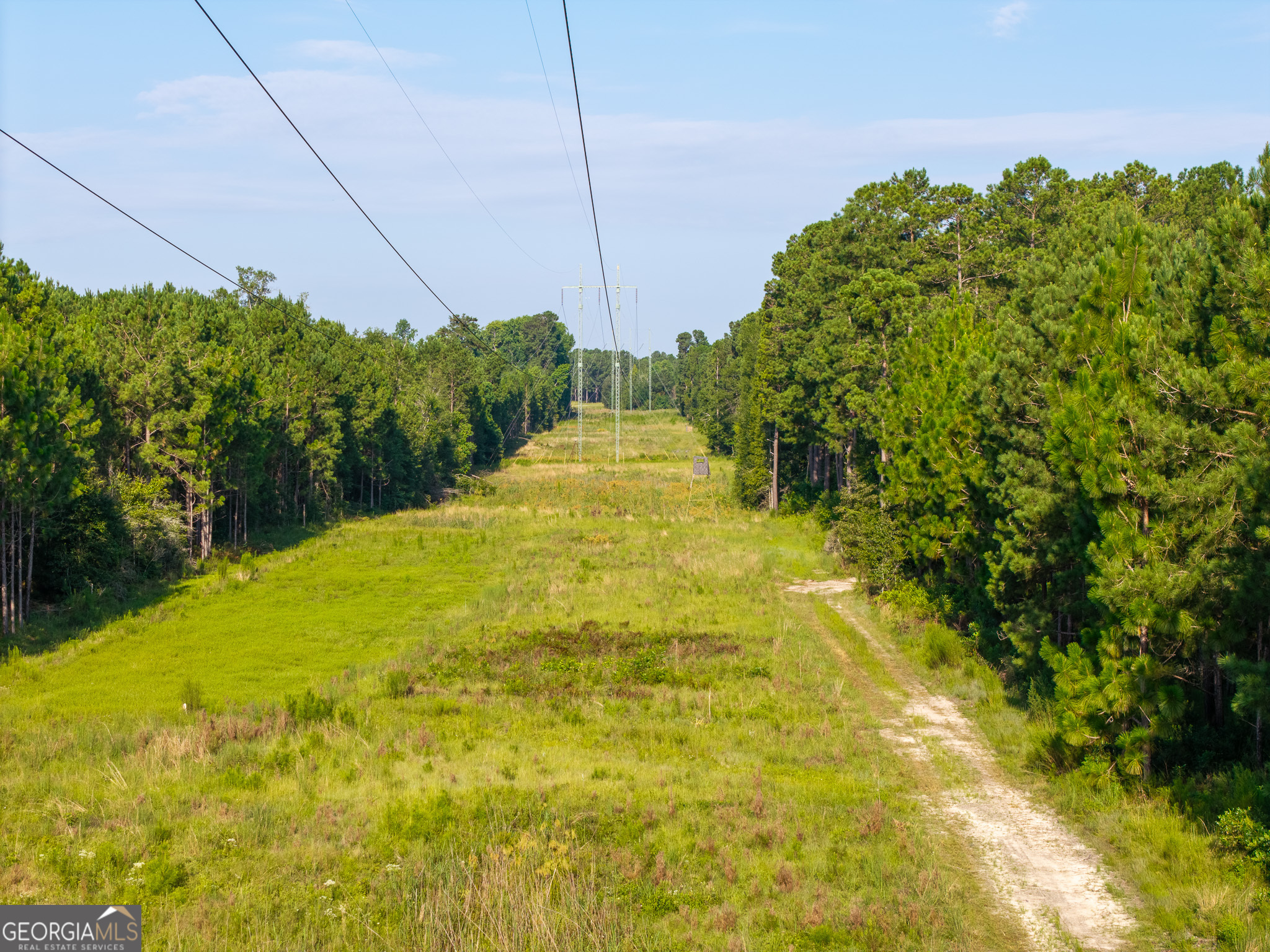 0 Henry Moxley Road Cobbtown, GA 30420 - Photo 9 of 41 a view of a yard