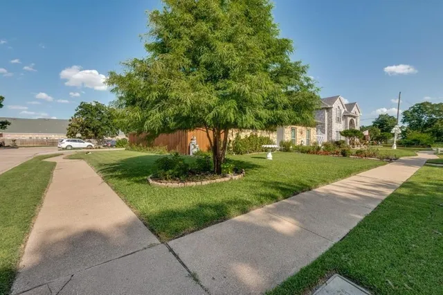a view of a park with plants and trees