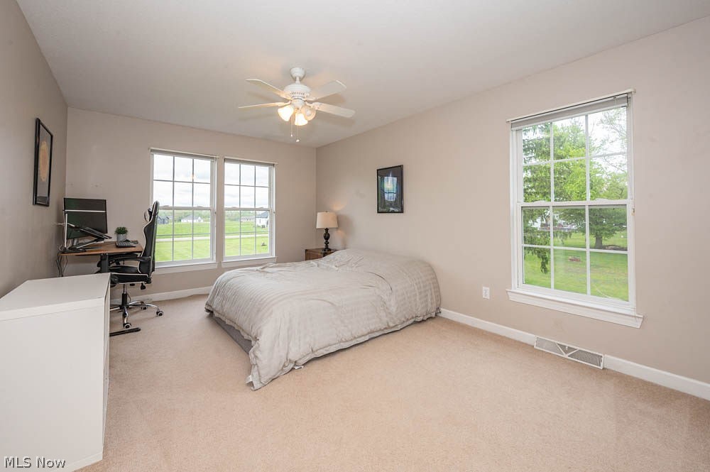 6787 South Palmyra Road Canfield, OH 44406 - Photo 16 of 30 Carpeted room featuring multiple double-hung windows, a ceiling fan with light fixture, and neutral painted walls