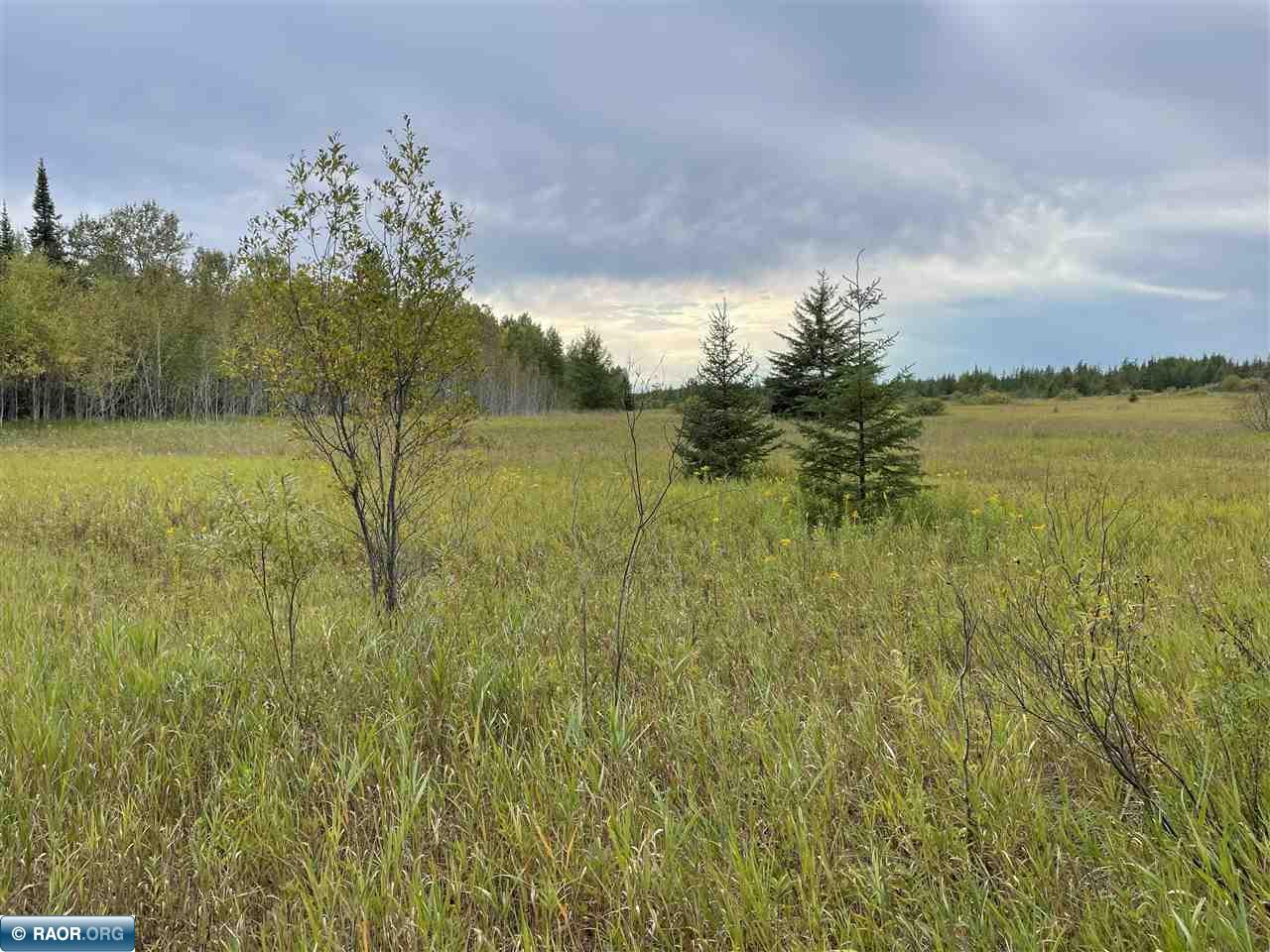 8316 Johnson Road Cook, MN 55723 - Photo 7 of 12