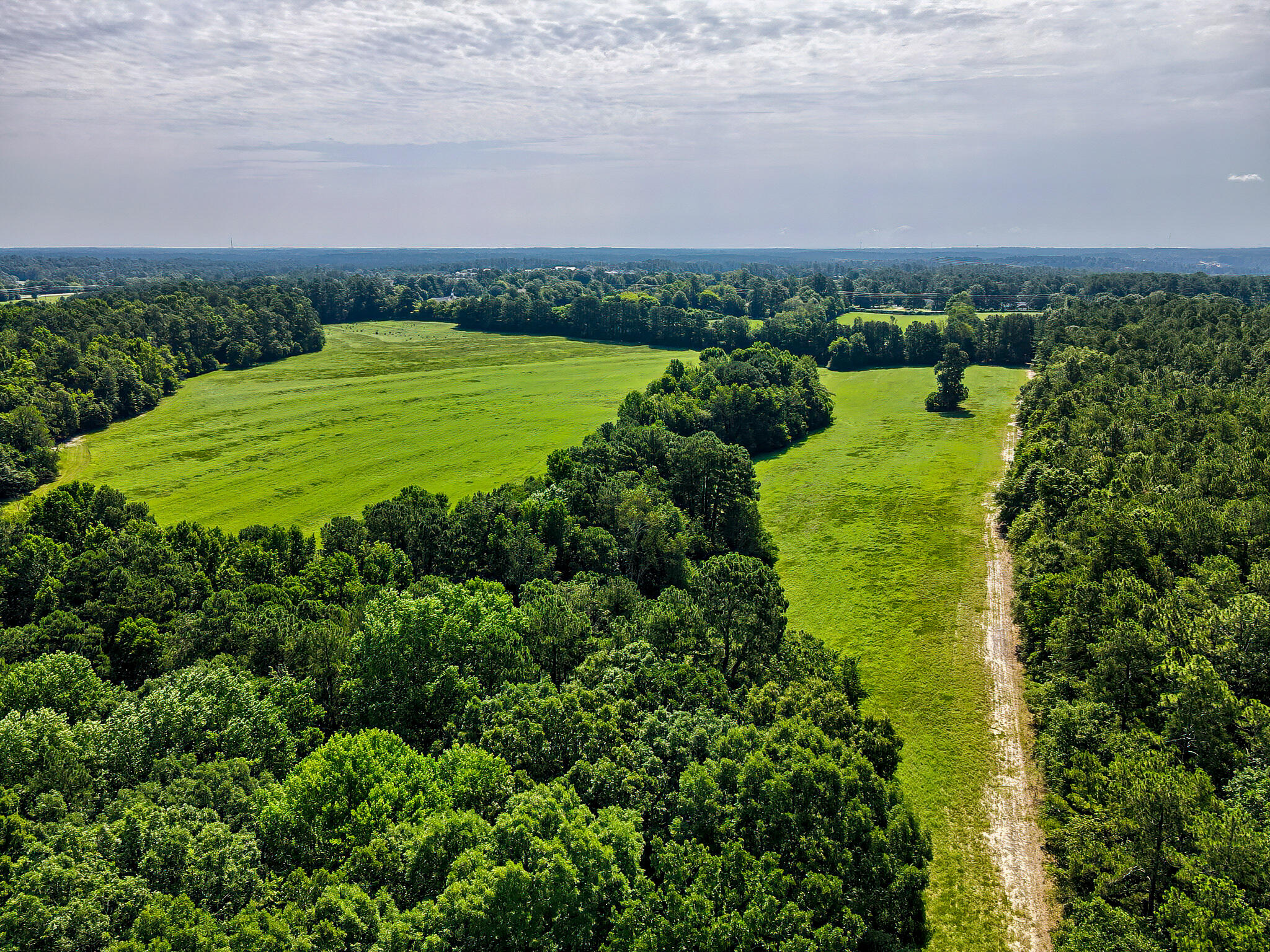 1290 Richardsons Lake Road Aiken, SC 29803 - Photo 60 of 101