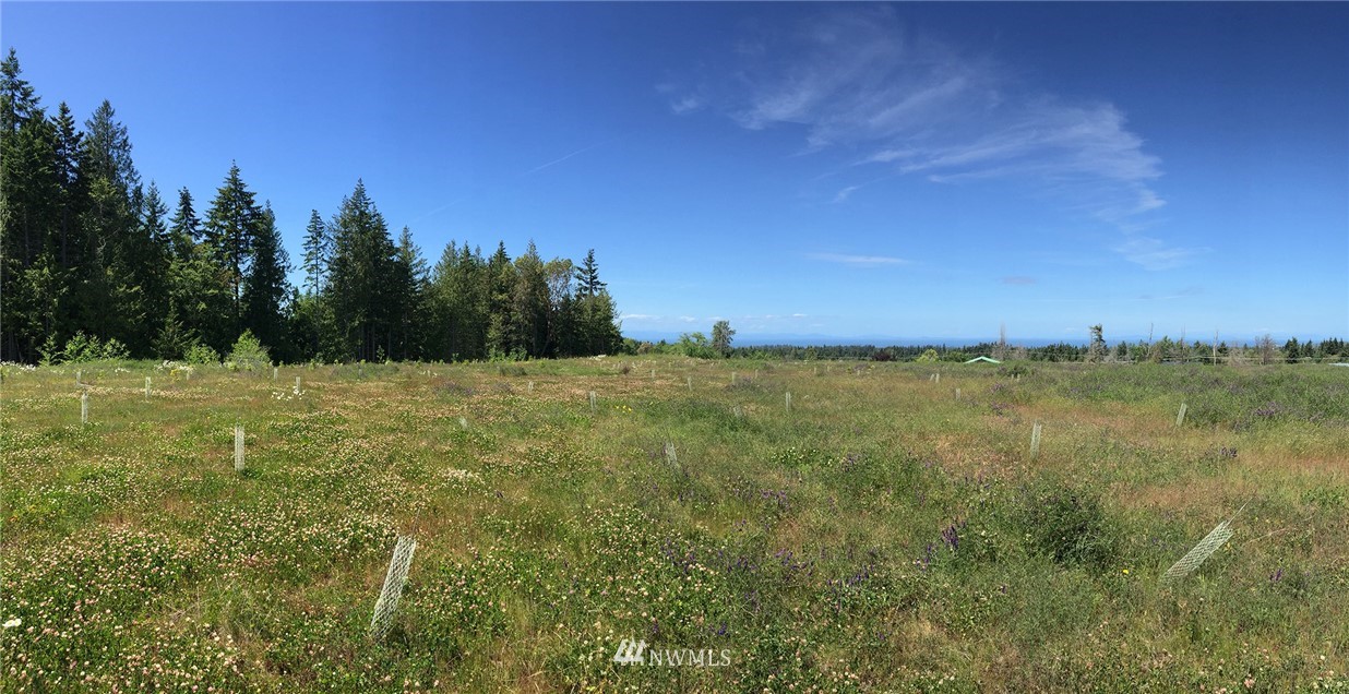 999 Sherburne Road Sequim, WA 98382 - Photo 8 of 25